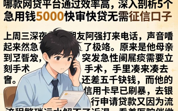 哪款网贷平台通过效率高，深入剖析5个急用钱5000快审快贷无需征信口子