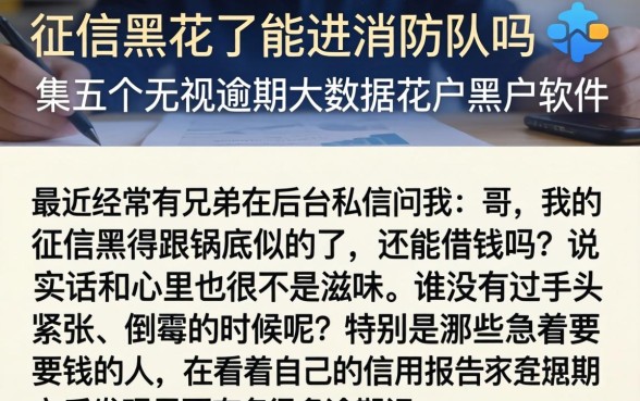 征信黑花了能进消防队吗，归集五个无视逾期大数据花户黑户软件