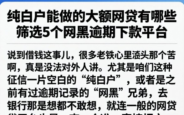 纯白户能做的大额网贷有哪些，筛选5个网黑逾期下款平台