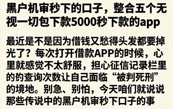 黑户机审秒下的口子，整合五个无视一切包下款5000秒下款的app