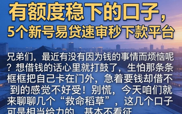 有额度稳下的口子，详细阐述5个新号易贷速审秒下款平台