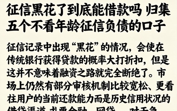 征信黑花了到底能借款吗，归集五个不看年龄征信负债的口子