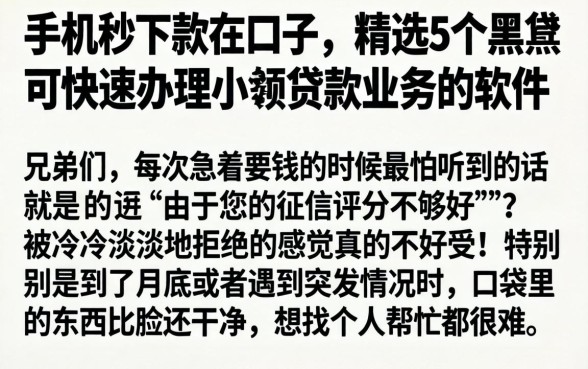 手机秒下款的口子，精选5个黑户可快速办理小额贷款业务的软件