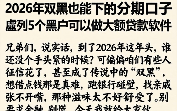 2026年双黑也能下的分期口子，胪列5个黑户可以做大额贷款软件