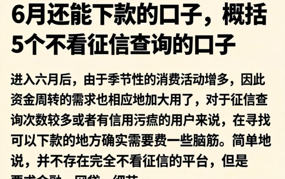 6月还能下款的口子，概括5个不看征信查询的口子
