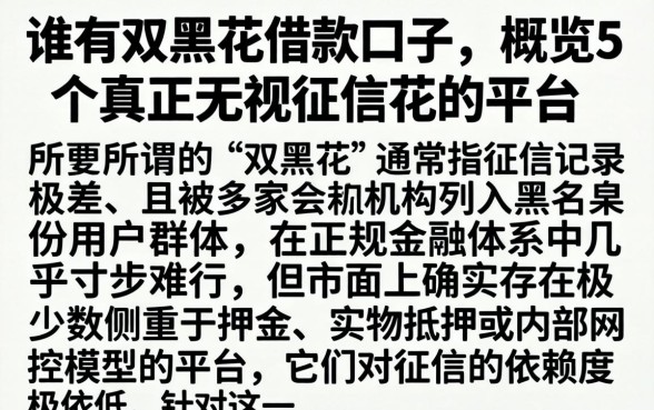 谁有双黑花借款口子，概览5个真正无视征信花的平台