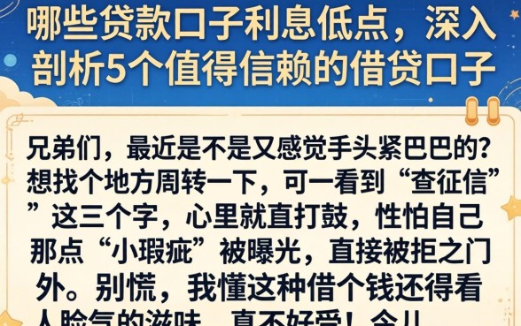 哪些贷款口子利息低点，深入剖析5个值得信赖的借贷口子