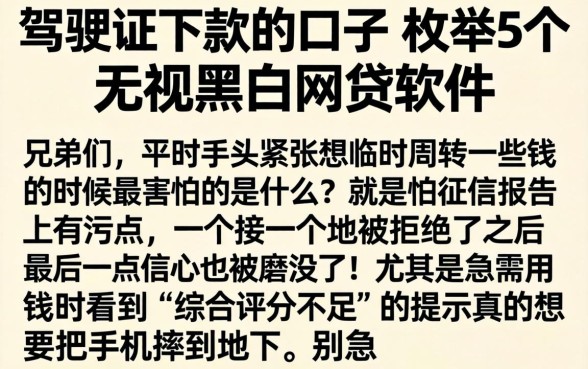 驾驶证下款的口子，枚举5个无视黑白的网贷软件