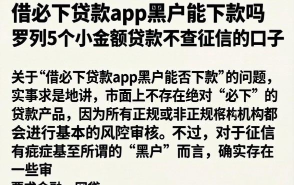 借必下贷款app黑户能下款吗，罗列5个小额贷款不查征信的口子