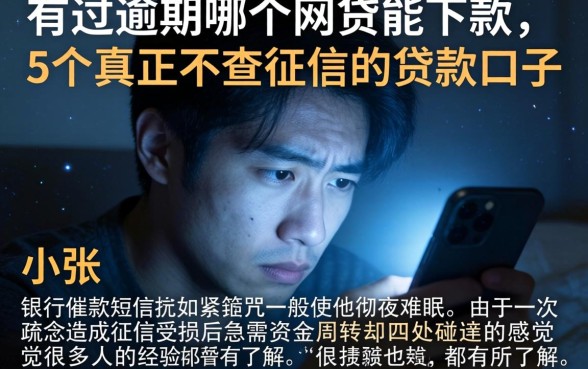 有过逾期哪个网贷能下款,概括5个真正不查征信的贷款口子