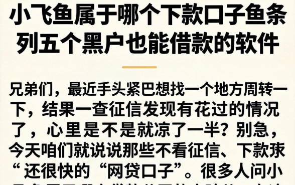 小飞鱼属于哪个下款口子，条列五个黑户也能借款的软件