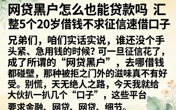 网贷黑户怎么也能贷款吗，汇整5个20岁借钱不求征信速借口子
