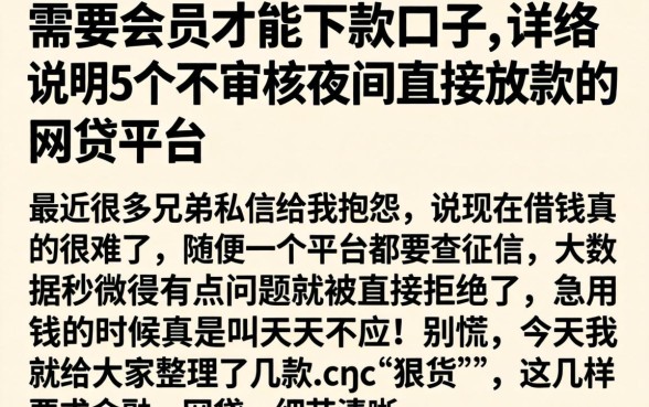 需要会员才能下款的口子，详尽说明5个不审核夜间直接放款的网贷平台