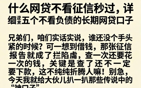 什么网贷不看征信秒过，详细阐述五个不看负债的长期网贷口子