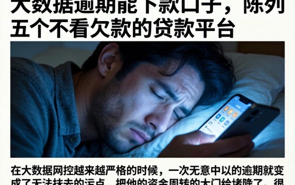大数据逾期能下款的口子，陈列五个不看欠款的贷款平台