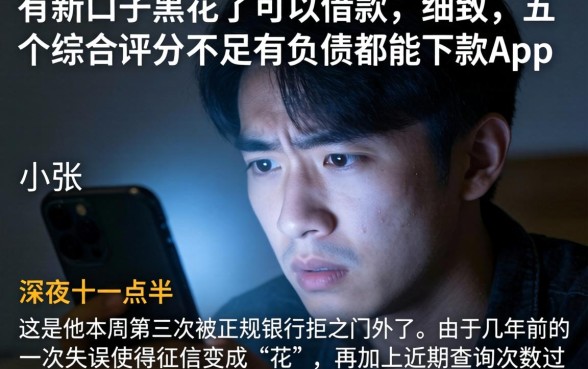 有新口子黑花了可以借款，细致阐述五个综合评分不足有负债都能下款app