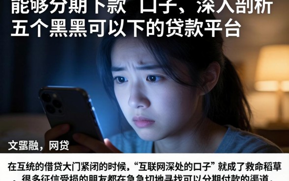 能够分期下款的口子，深入剖析五个黑户可以下的贷款平台