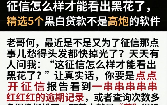 征信怎么样才能看出黑花了，精选5个黑白贷款不是高炮的软件