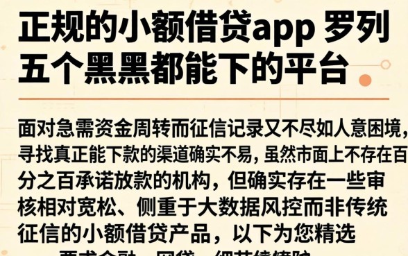 正规的小额借贷app，罗列五个黑户都能下的平台