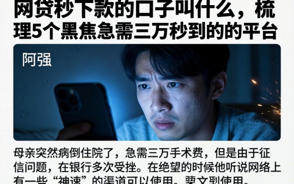 网贷秒下款的口子叫什么，梳理5个黑户急需三万秒到的的平台