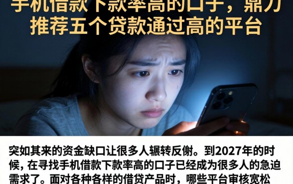 手机借款下款率高的口子,鼎力推荐五个贷款通过高的平台