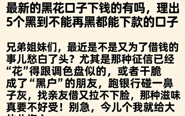 最新的黑花口子下钱的有吗,理出5个黑到不能再黑都能下款的口子