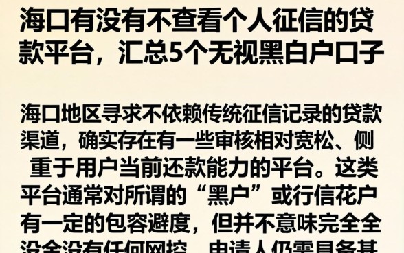 海口有没有不查看个人征信的贷款平台，汇总5个无视黑白户口子