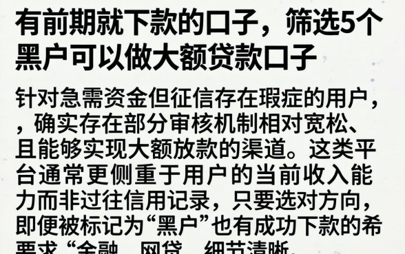 有前期就下款的口子，筛选5个黑户可以做大额贷款口子