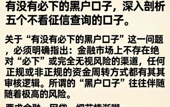 有没有必下的黑户口子，深入剖析五个不看征信查询的口子