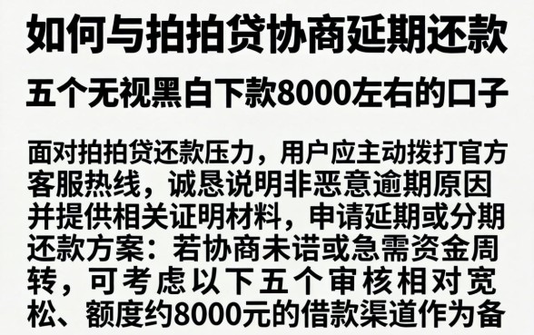 如何与拍拍贷协商延期还款,概括五个无视黑白下款8000左右的口子