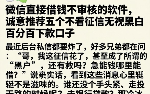 微信直接借钱不审核的软件，诚意推荐五个不看征信无视黑白百分百下款口子