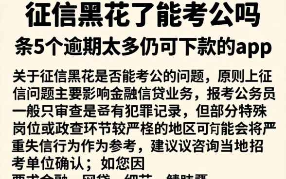 征信黑花了能考公吗，条列5个逾期太多仍可下款的app