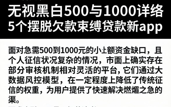 无视黑白500到1000,详尽说明5个摆脱欠款束缚贷款新app