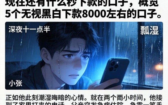 现在还有什么秒下款的口子，概览5个无视黑白下款8000左右的口子