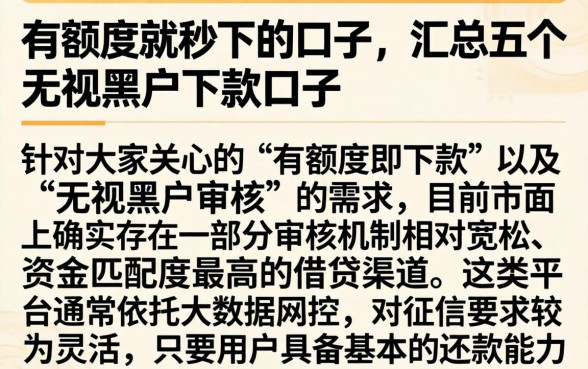 有额度就秒下的口子，汇总五个无视黑户下款口子