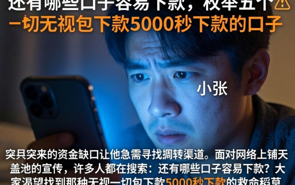 还有哪些口子容易下款，枚举五个无视一切包下款5000秒下款的口子