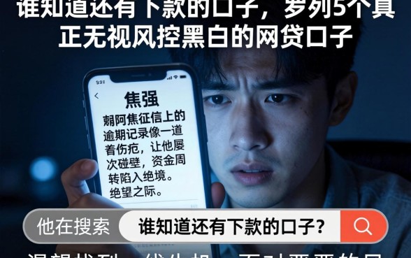 谁知道还有下款的口子，罗列5个真正无视风控黑白的网贷口子