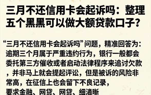 三月不还信用卡会起诉吗，整理五个黑户可以做大额贷款口子