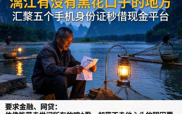 漓江有没有黑花口子的地方，汇整五个手机身份证秒借现金的平台