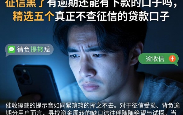 征信黑了有逾期还能有下款的口子吗，精选五个真正不查征信的贷款口子