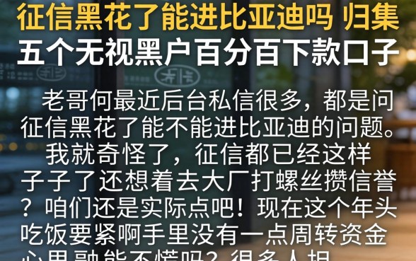 征信黑花了能进比亚迪吗，归集五个无视黑户百分百下款口子