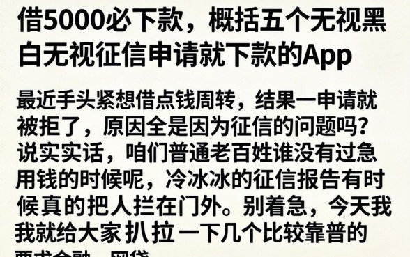 借5000必下款，概括五个无视黑白无视征信申请就下款的app