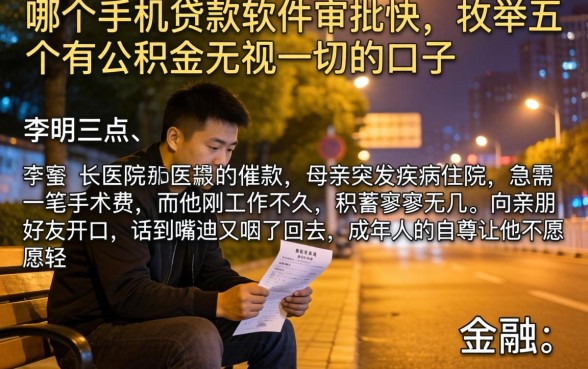 哪个手机贷款软件审批快，枚举五个有公积金无视一切的口子