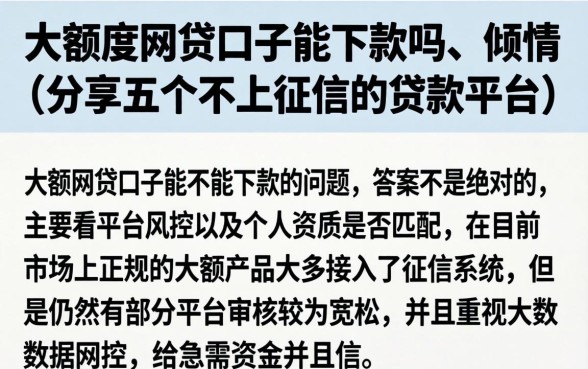 大额度网贷口子能下款吗，倾情分享五个不上征信的贷款平台