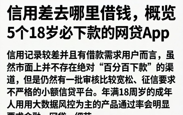 信用差去哪里借钱，概览5个18岁必下款的网贷app