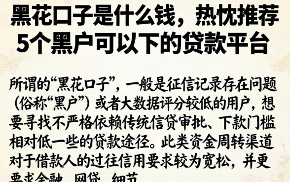 黑花口子是什么钱，热忱推荐5个黑户可以下的贷款平台
