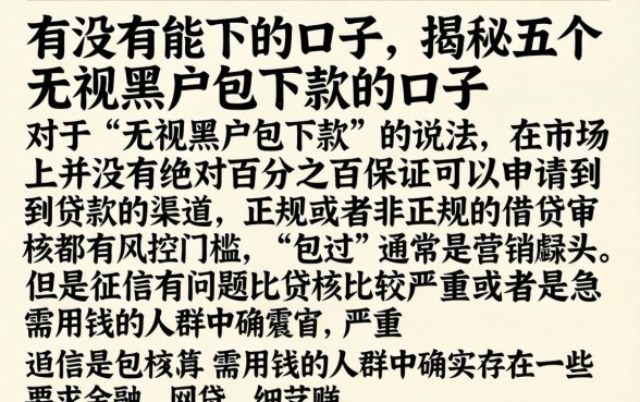 有没有能下的口子，揭秘五个无视黑户包下款的口子