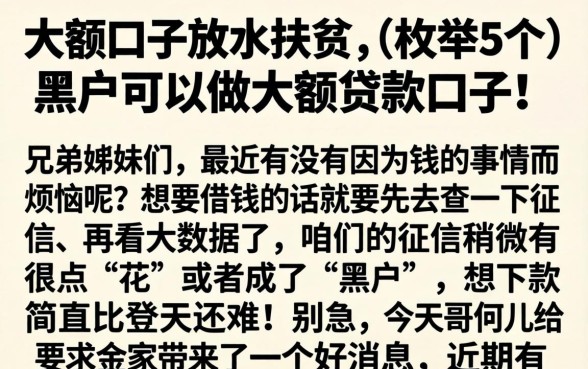 大额口子放水扶贫，枚举5个黑户可以做大额贷款口子