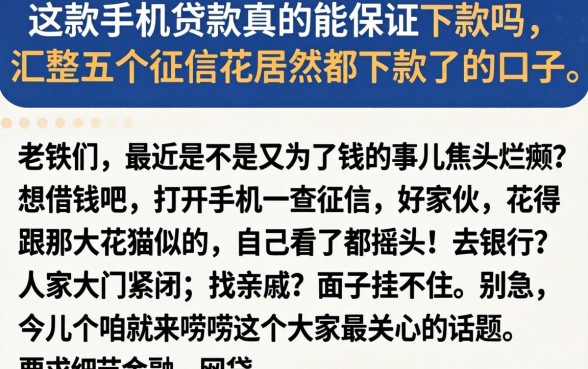 这款手机贷款真的能保证下款吗，汇整五个征信花居然都下款了的口子