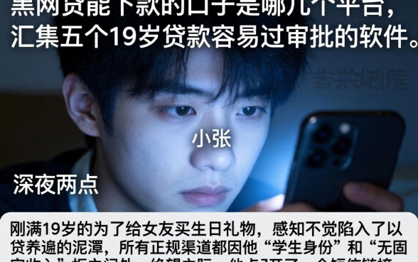 黑网贷能下款的口子是哪几个平台，汇整五个19岁贷款容易过审批的软件